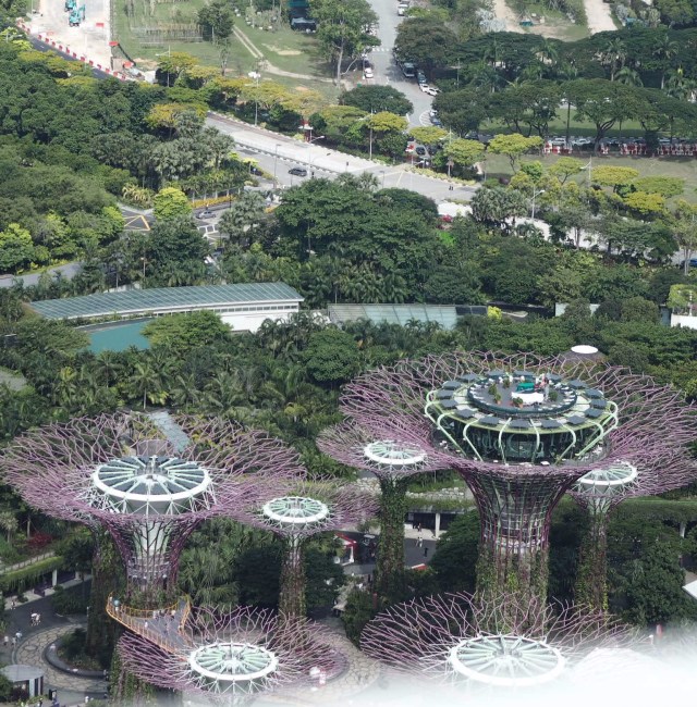 Gardens by the Bay, Singapore