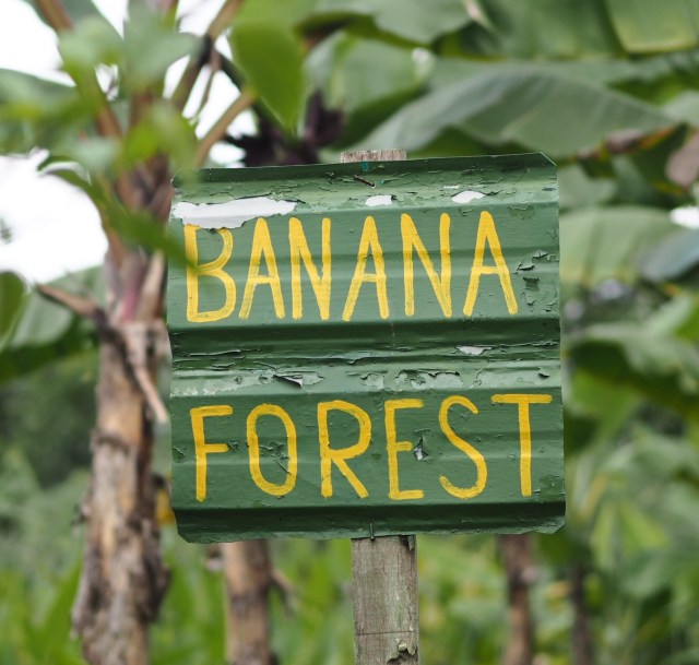 Banana Forest, Bollywood Veggies, Singapore