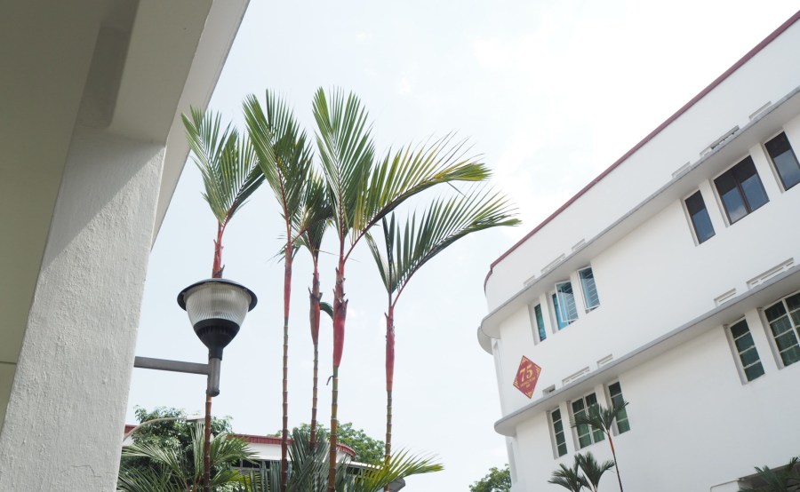 Tiong Bahru, Singapore