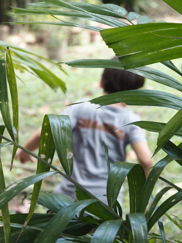 OLYMPUS DIGITAL CAMERA