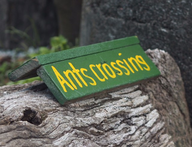 Bollywood Veggies, Singapore