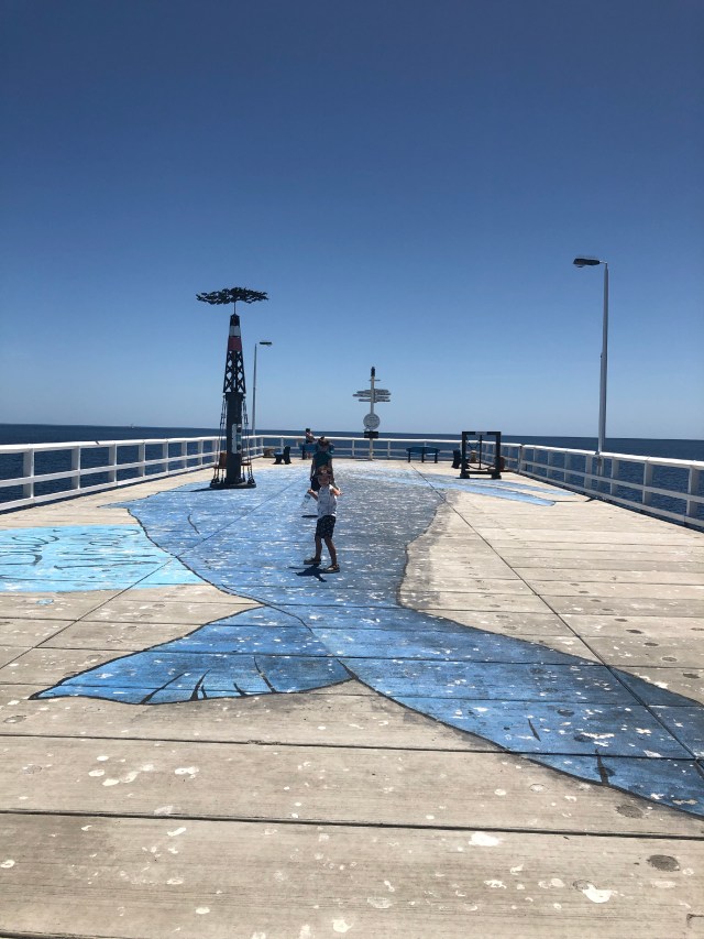 The actual size of a Blue Whale, Busselton Jetty