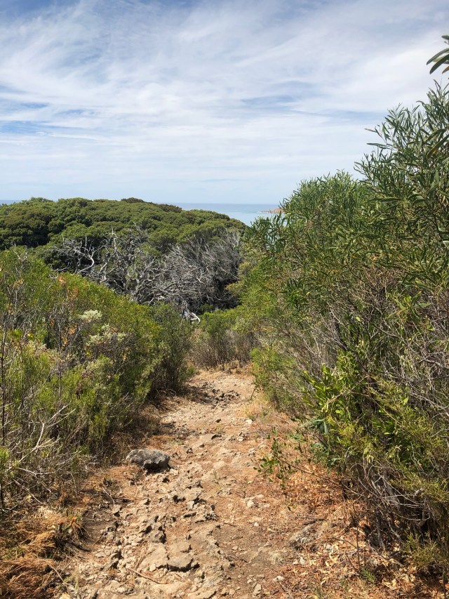 Taking the wrong path to the Cape Naturaliste Lighthouse... 