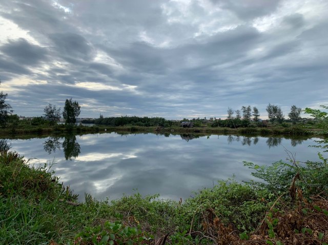 View from our room at Christina's Hoi An