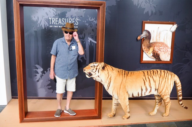 Art Science Museum, Marina Bay Sands, Singapore