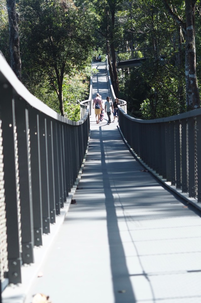 The Habitat, Penang Hill, Penang