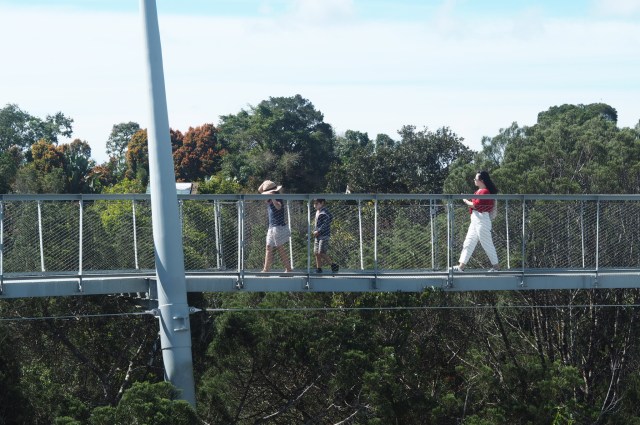 The Habitat, Penang Hill, Penang