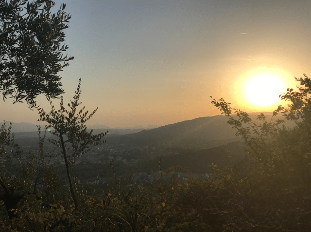 Screenshot 2020-06-17 at 15.56.08