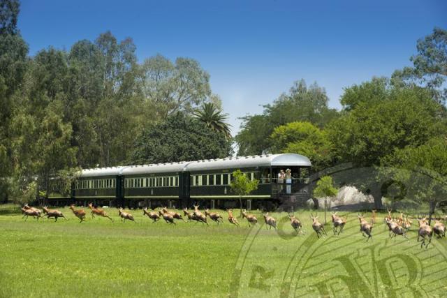 Rovos Rail’s Namibia Safari, South Africa (Image courtesy of Rovos)