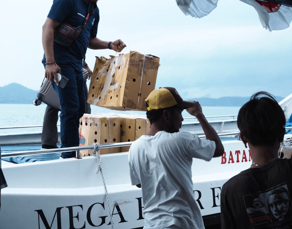 Loading the chickens with out luggage on our ferry home from Telunas Beach Resort