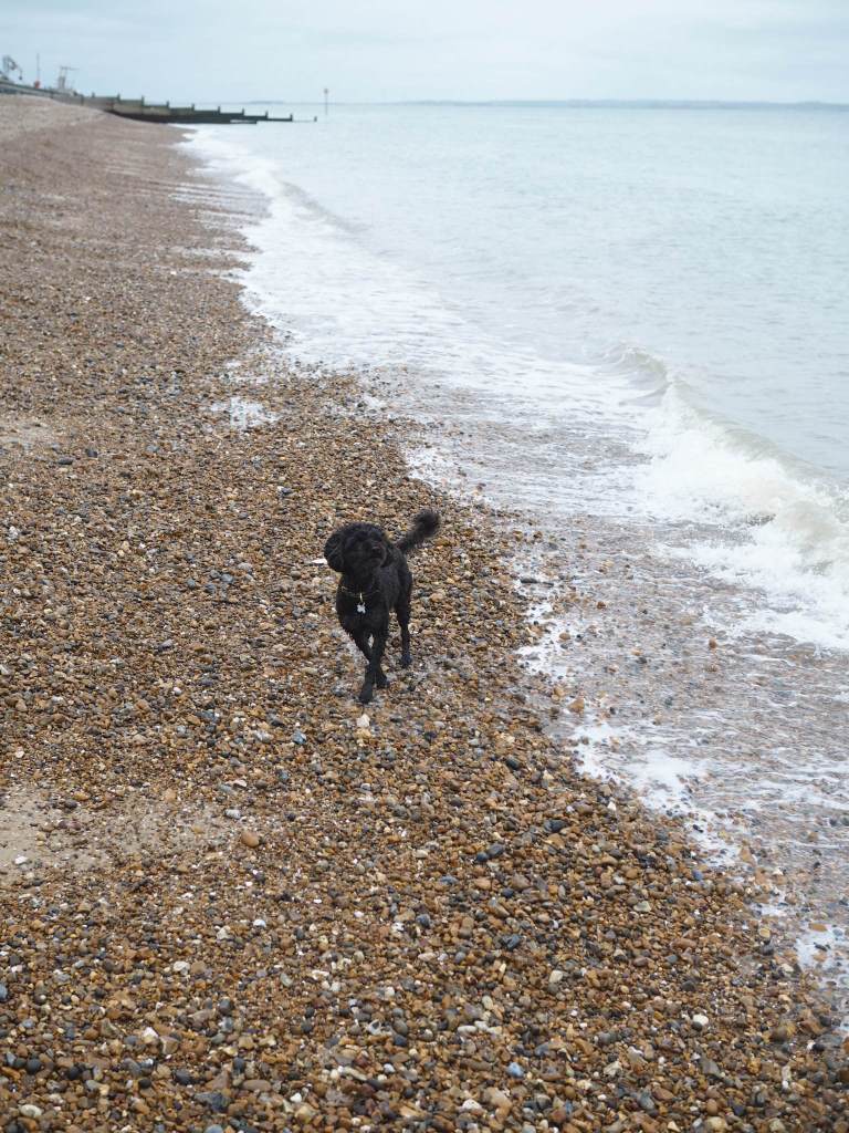 Pepa at The Beach, Whitstable