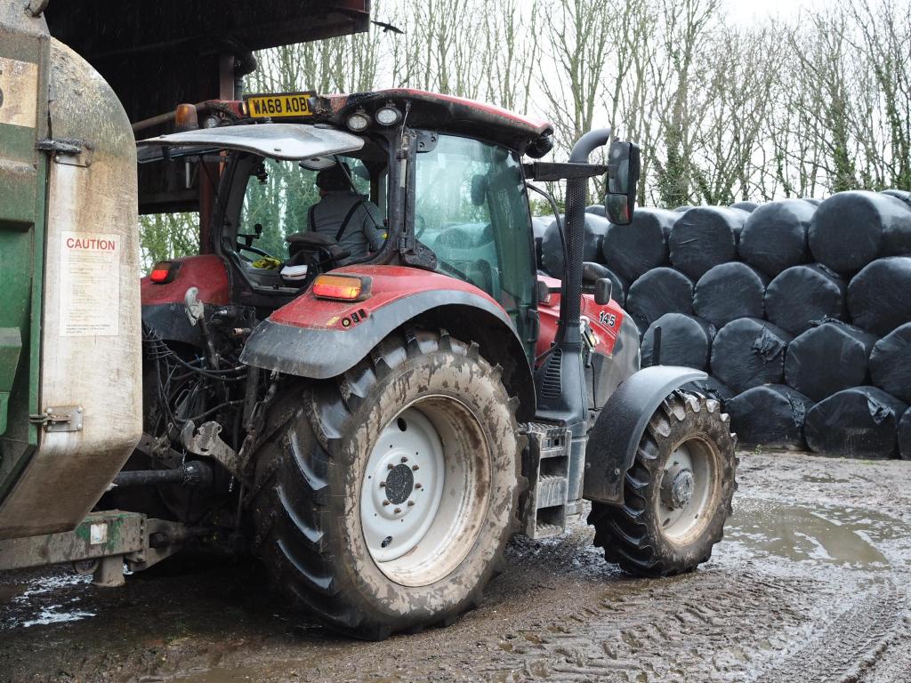 The Pig at Combe, Farmyard