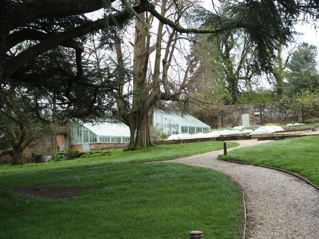 The Pig at Combe, Greenhouses