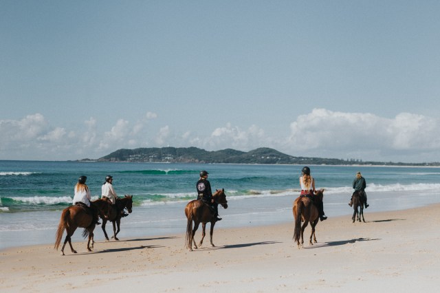 Image Credit Zephyr Horses